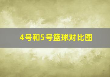 4号和5号篮球对比图