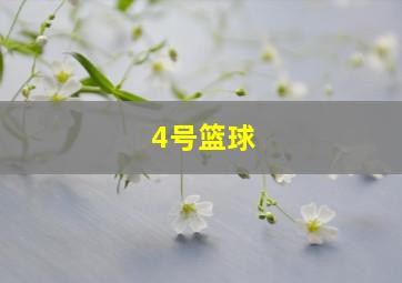 4号篮球