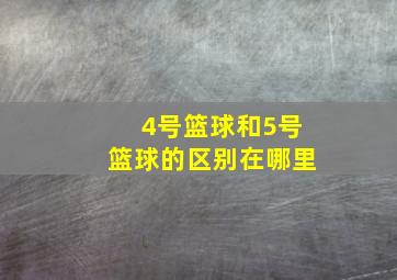 4号篮球和5号篮球的区别在哪里