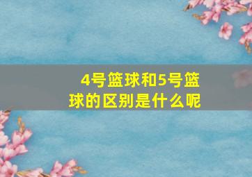 4号篮球和5号篮球的区别是什么呢