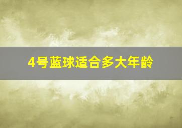 4号蓝球适合多大年龄