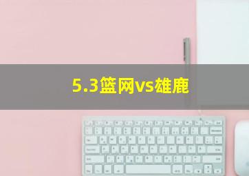 5.3篮网vs雄鹿