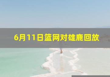 6月11日篮网对雄鹿回放