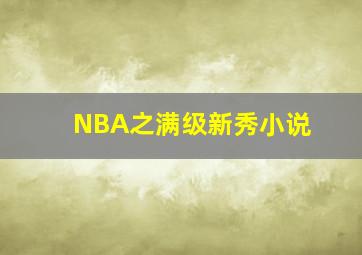 NBA之满级新秀小说