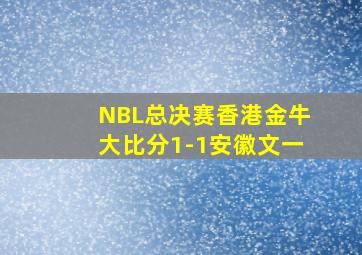 NBL总决赛香港金牛大比分1-1安徽文一