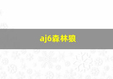 aj6森林狼