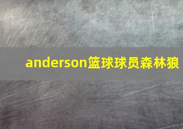 anderson篮球球员森林狼