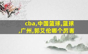 cba,中国篮球,篮球,广州,郭艾伦哪个厉害