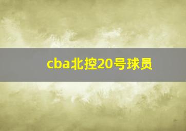 cba北控20号球员