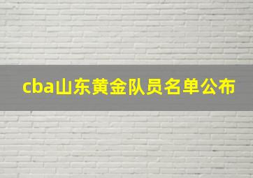 cba山东黄金队员名单公布