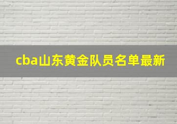 cba山东黄金队员名单最新