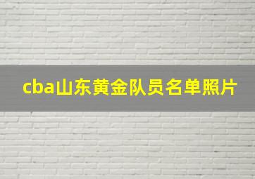 cba山东黄金队员名单照片