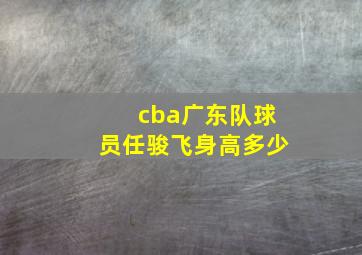 cba广东队球员任骏飞身高多少