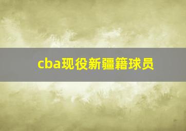 cba现役新疆籍球员