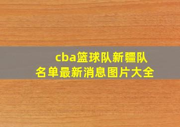 cba篮球队新疆队名单最新消息图片大全