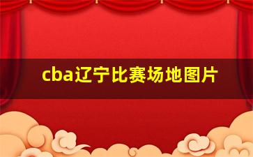 cba辽宁比赛场地图片