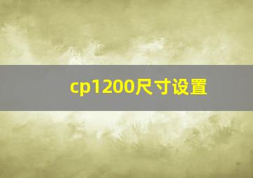 cp1200尺寸设置