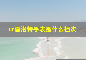 cr夏洛特手表是什么档次