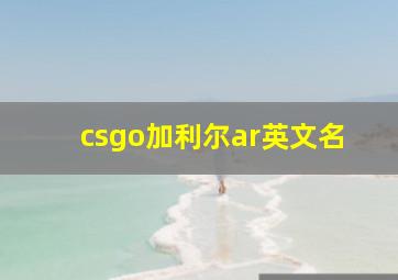 csgo加利尔ar英文名