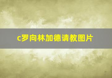 c罗向林加德请教图片