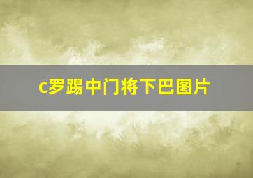 c罗踢中门将下巴图片