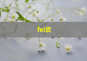 fei坎