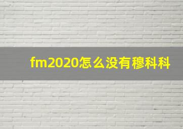 fm2020怎么没有穆科科