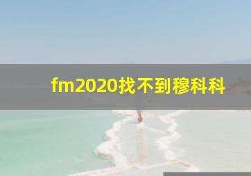 fm2020找不到穆科科