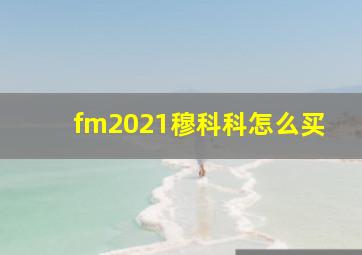 fm2021穆科科怎么买