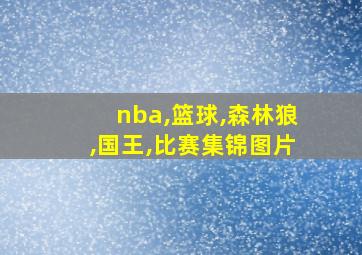 nba,篮球,森林狼,国王,比赛集锦图片