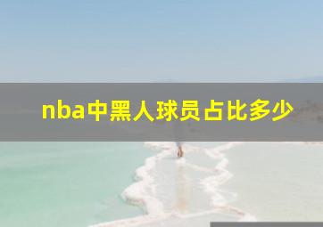 nba中黑人球员占比多少