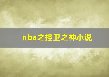 nba之控卫之神小说