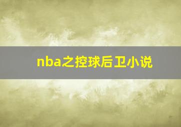 nba之控球后卫小说