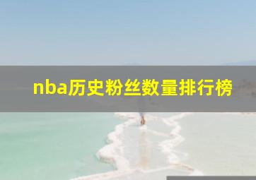 nba历史粉丝数量排行榜