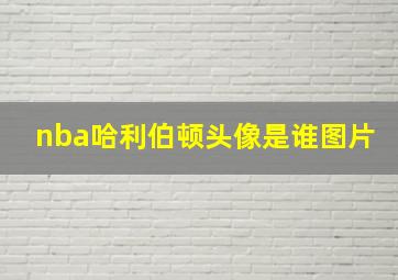 nba哈利伯顿头像是谁图片