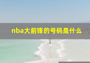 nba大前锋的号码是什么