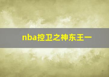 nba控卫之神东王一