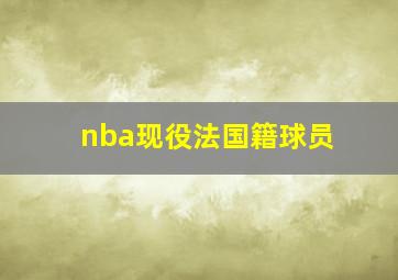 nba现役法国籍球员