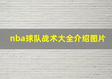 nba球队战术大全介绍图片