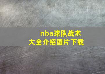 nba球队战术大全介绍图片下载