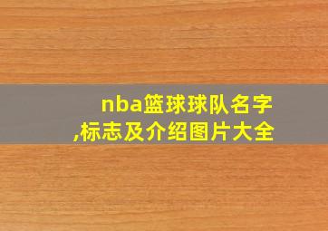 nba篮球球队名字,标志及介绍图片大全