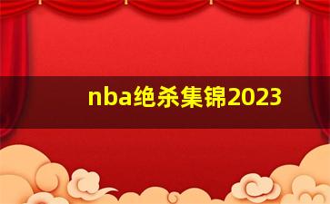 nba绝杀集锦2023