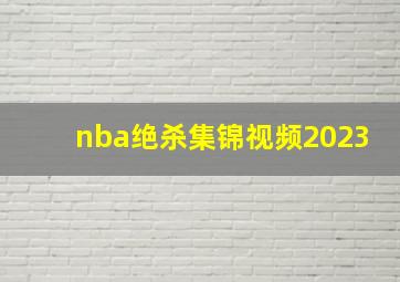 nba绝杀集锦视频2023