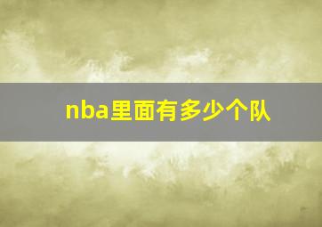 nba里面有多少个队