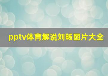 pptv体育解说刘畅图片大全