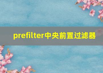 prefilter中央前置过滤器