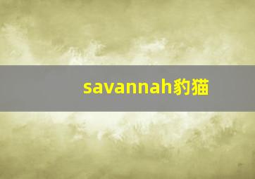 savannah豹猫