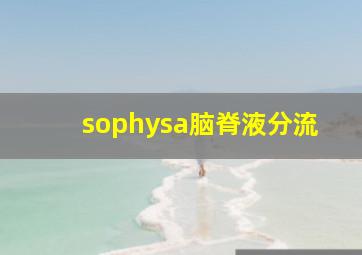 sophysa脑脊液分流