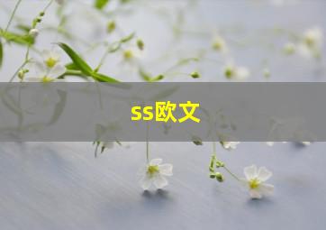 ss欧文