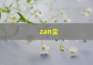 zan尘